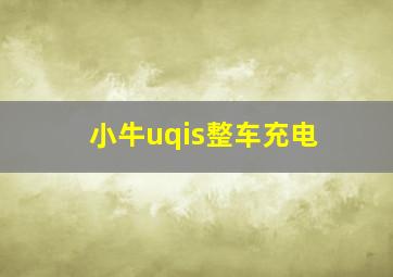 小牛uqis整车充电