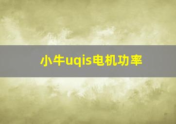 小牛uqis电机功率