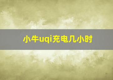 小牛uqi充电几小时