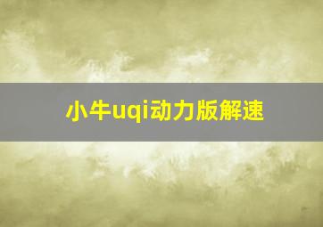 小牛uqi动力版解速