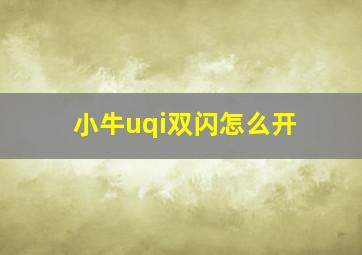 小牛uqi双闪怎么开