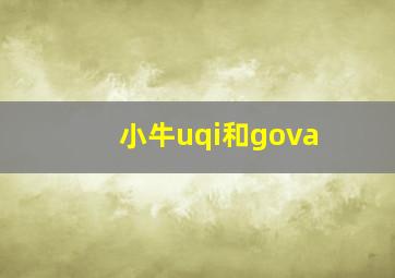 小牛uqi和gova