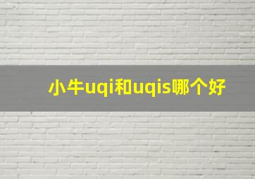 小牛uqi和uqis哪个好