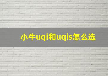 小牛uqi和uqis怎么选