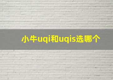 小牛uqi和uqis选哪个