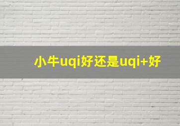 小牛uqi好还是uqi+好