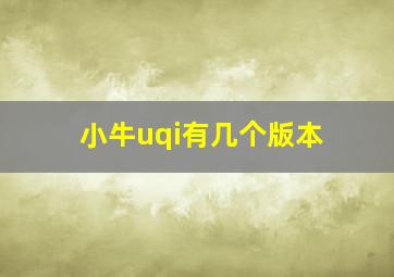 小牛uqi有几个版本