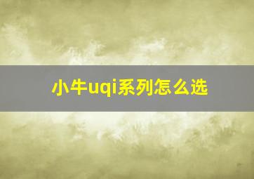 小牛uqi系列怎么选