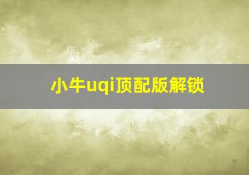 小牛uqi顶配版解锁