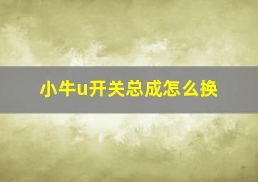 小牛u开关总成怎么换