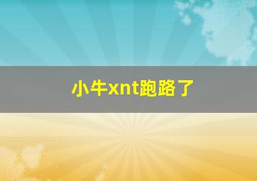 小牛xnt跑路了