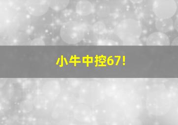 小牛中控67!