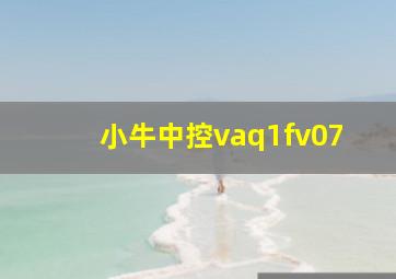 小牛中控vaq1fv07