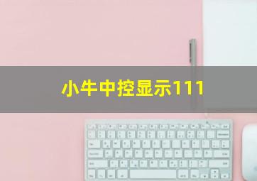 小牛中控显示111