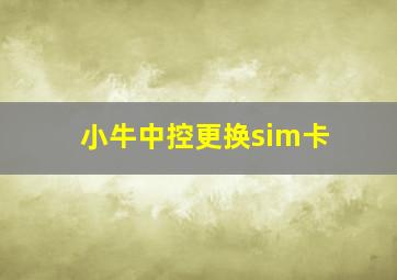 小牛中控更换sim卡