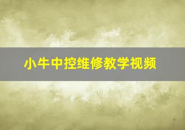 小牛中控维修教学视频