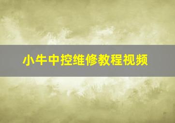 小牛中控维修教程视频