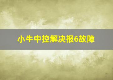 小牛中控解决报6故障