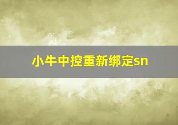 小牛中控重新绑定sn