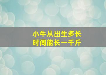 小牛从出生多长时间能长一千斤