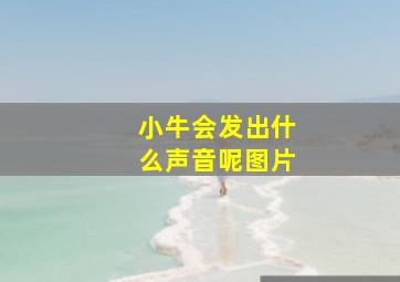 小牛会发出什么声音呢图片