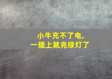 小牛充不了电,一插上就亮绿灯了