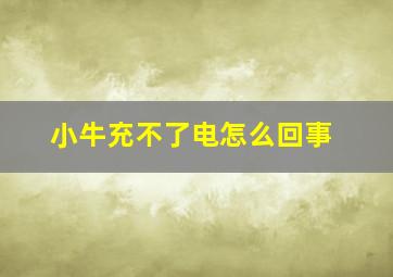 小牛充不了电怎么回事