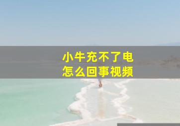 小牛充不了电怎么回事视频