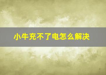 小牛充不了电怎么解决