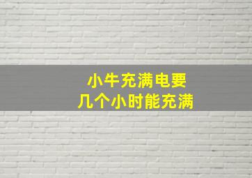 小牛充满电要几个小时能充满