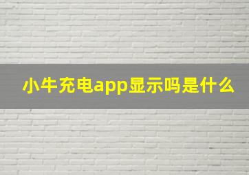 小牛充电app显示吗是什么