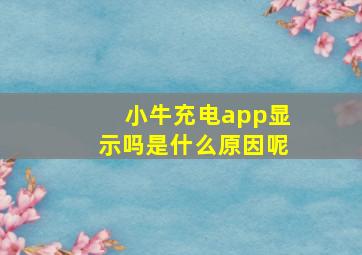 小牛充电app显示吗是什么原因呢