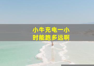 小牛充电一小时能跑多远啊