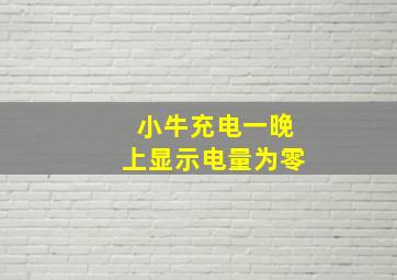 小牛充电一晚上显示电量为零