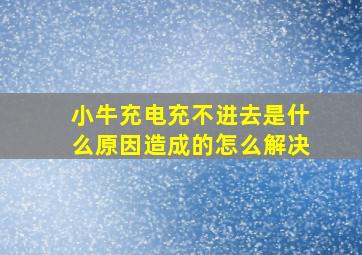 小牛充电充不进去是什么原因造成的怎么解决