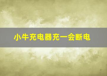 小牛充电器充一会断电