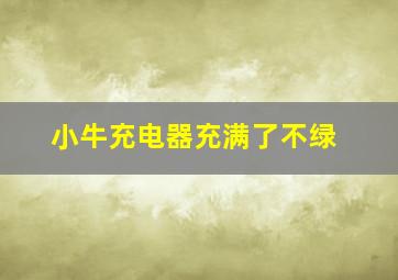 小牛充电器充满了不绿