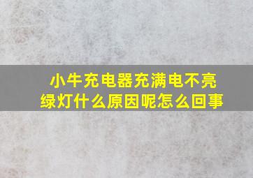 小牛充电器充满电不亮绿灯什么原因呢怎么回事