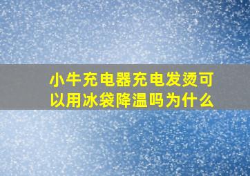 小牛充电器充电发烫可以用冰袋降温吗为什么