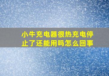 小牛充电器很热充电停止了还能用吗怎么回事