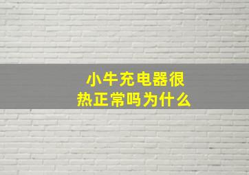 小牛充电器很热正常吗为什么