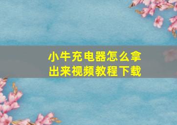 小牛充电器怎么拿出来视频教程下载