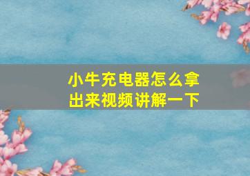 小牛充电器怎么拿出来视频讲解一下