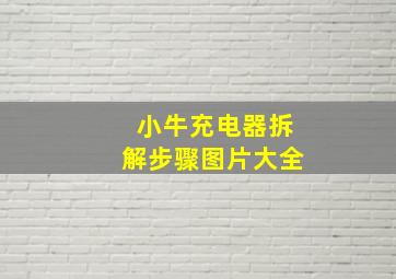 小牛充电器拆解步骤图片大全