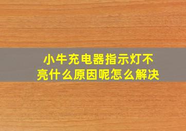 小牛充电器指示灯不亮什么原因呢怎么解决