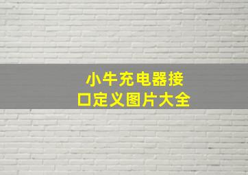 小牛充电器接口定义图片大全