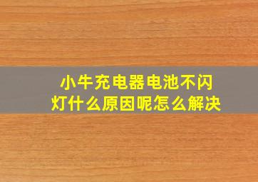 小牛充电器电池不闪灯什么原因呢怎么解决