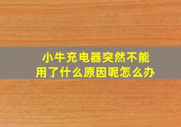 小牛充电器突然不能用了什么原因呢怎么办