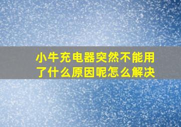 小牛充电器突然不能用了什么原因呢怎么解决