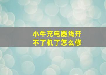 小牛充电器线开不了机了怎么修